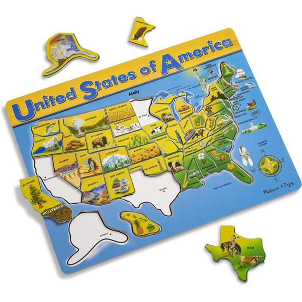 USA Map Wooden Puzzle (45 pcs)